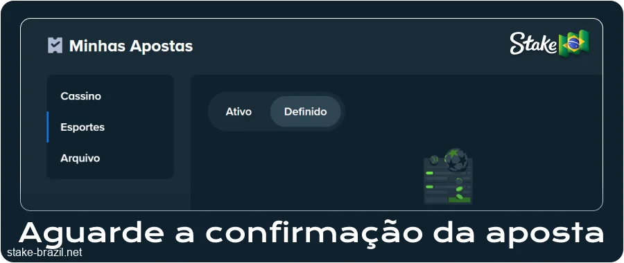 Verifique sua aposta na Stake Brasil